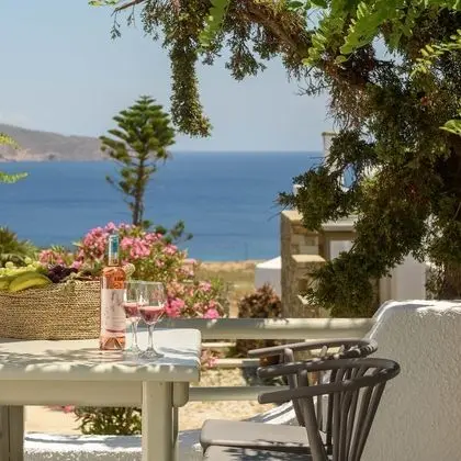 Myconian Platinum Guest house with Private Pool