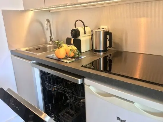 Panoramic Apart Daire, Teras, Deniz Manzaralı