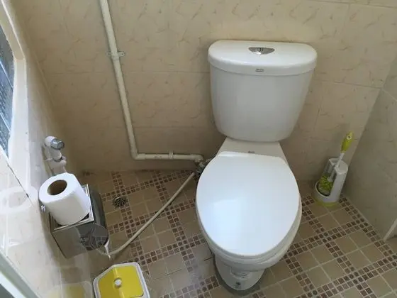 Standard Oda