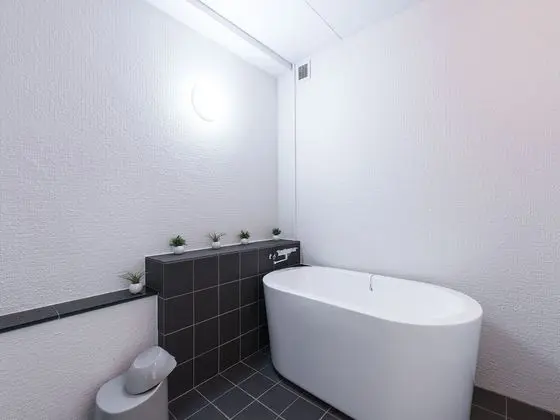 Deluxe İki Ayrı Yataklı Oda, Sigara İçilmez