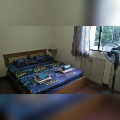 Deluxe Tek Büyük Yataklı Oda, 1 Büyük (Queen) Boy Yatak, Şehir Manzaralı