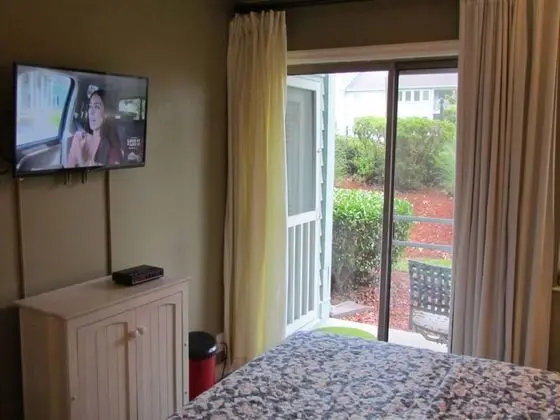 Deluxe Apart Daire, 1 Yatak Odası, Park Manzaralı