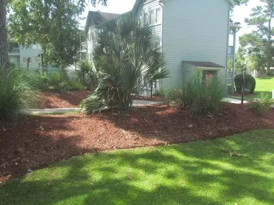 Deluxe Apart Daire, 1 Yatak Odası, Park Manzaralı