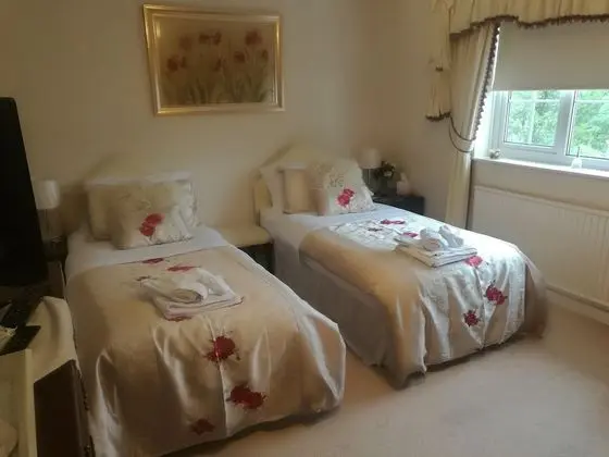Deluxe İki Ayrı Yataklı Oda, Sigara İçilmez, Ortak Banyo (Pennard Castle)