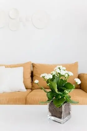 Junior Süit, Balkon, Deniz Manzaralı