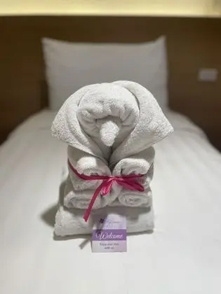 Deluxe İki Ayrı Yataklı Oda