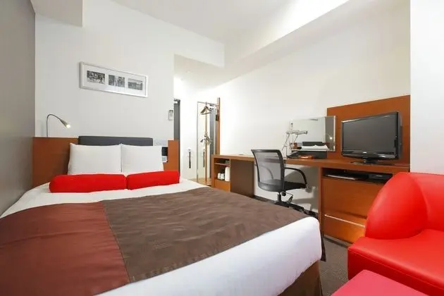 Standard Tek Büyük Yataklı Oda, Sigara İçilmez (No cleaning Service)