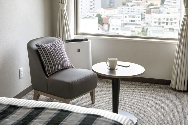 Comfort Tek Büyük Yataklı Oda, Sigara İçilmez