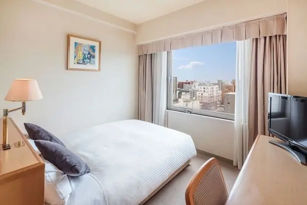 Standard Tek Büyük Yataklı Oda, Sigara İçilebilir (17sqm)