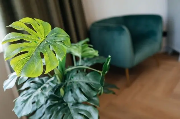 Junior Tek Büyük Yataklı Oda