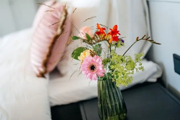 Superior Tek Büyük Yataklı Oda