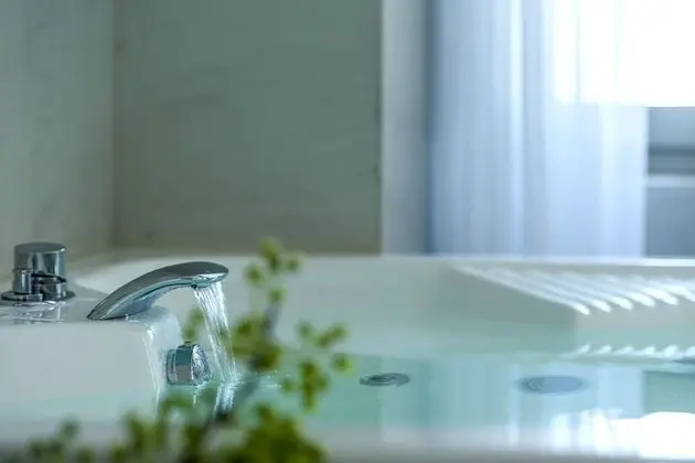 Senior Suite (Heated Outdoor Plunge Pool and Indoor Jacuzzi)