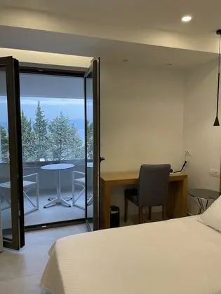 Superior Tek Büyük veya İki Ayrı Yataklı Oda
