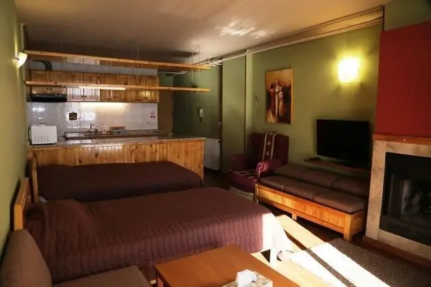 Stüdyo, 2 Tek Kişilik Yatak, Dağ Manzaralı