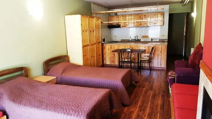 Stüdyo, 2 Tek Kişilik Yatak, Dağ Manzaralı