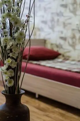 Tek Büyük Yataklı Oda, 1 Tek Kişilik XL Yatak, Ortak Banyo
