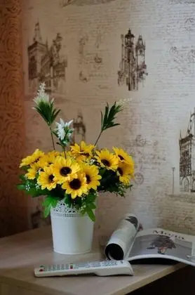 Tek Büyük Yataklı Oda, 1 Tek Kişilik XL Yatak, Ortak Banyo