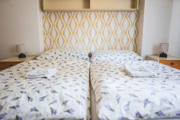 Traditional Tek Büyük Yataklı Oda, Bahçe Manzaralı