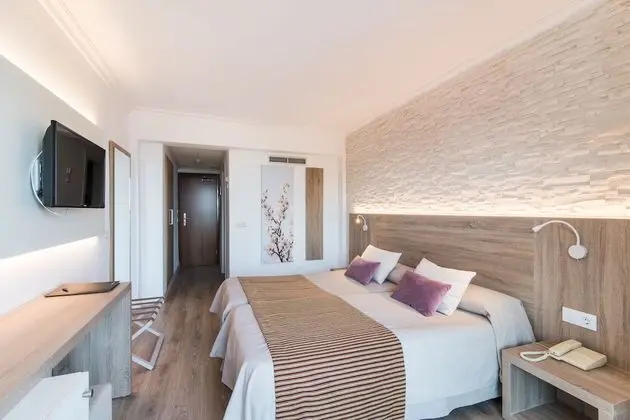 Standard Tek Büyük Yataklı Oda (2 Adults + 1 Child)