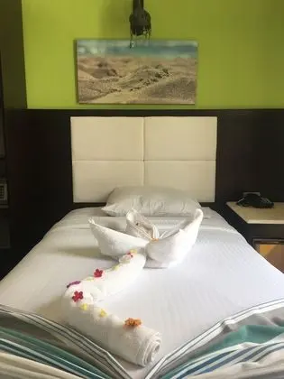 Economy Tek Kişilik Oda, 1 Tek Kişilik Yatak