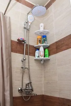 Tek Büyük veya İki Ayrı Yataklı Oda, Özel Banyo (#503)