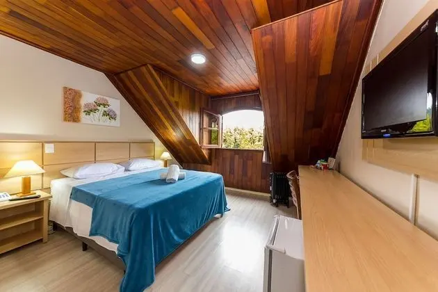 Superior Tek Büyük Yataklı Oda, Şehir Manzaralı