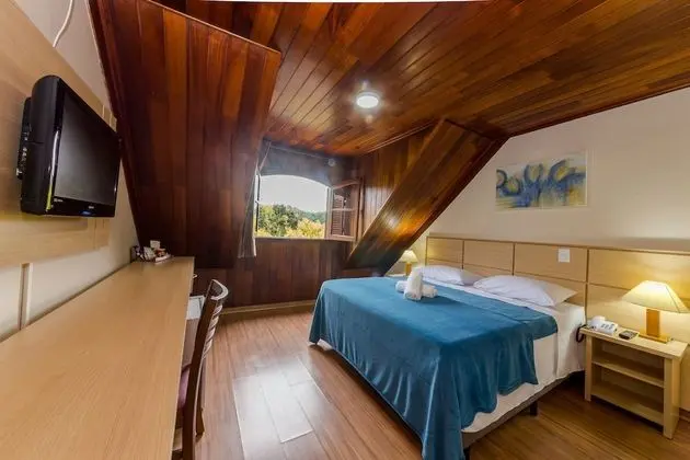 Superior Tek Büyük Yataklı Oda, Şehir Manzaralı