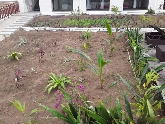 Comfort İki Ayrı Yataklı Oda