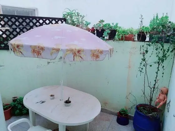 Oda, 1 Yatak Odası, Teras