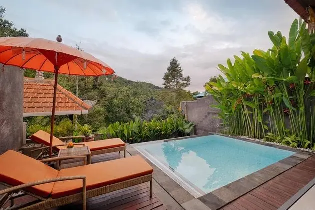 Luxury Süit, 1 Yatak Odası, Kişiye Özel Havuzlu, Vadi Manzaralı