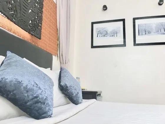 Superior Tek Büyük Yataklı Oda