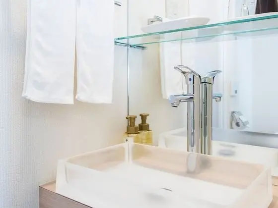 Superior İki Ayrı Yataklı Oda, Sigara İçilebilir