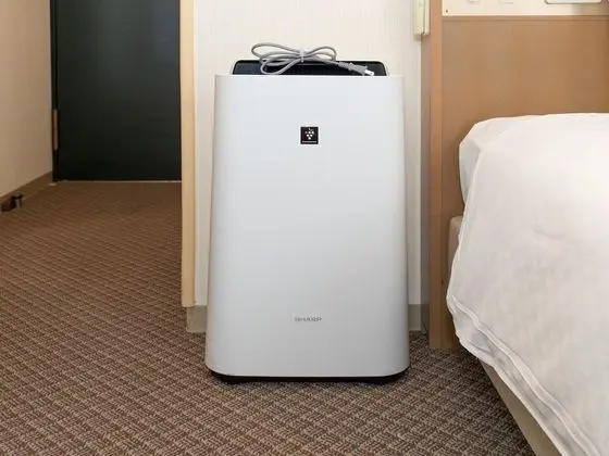 Deluxe Tek Kişilik Oda, Sigara İçilebilir