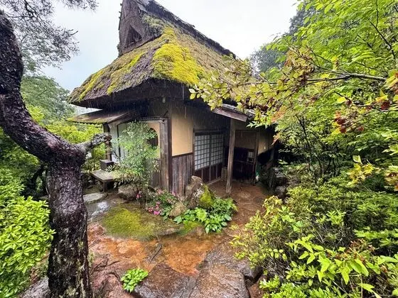 Oda