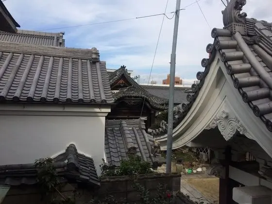 Traditional Oda (Japanese Style)