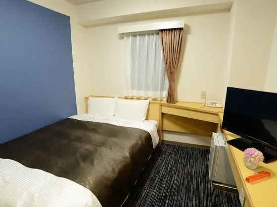 Tek Büyük Yataklı Oda, Sigara İçilebilir (Renovated)