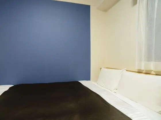 Tek Büyük Yataklı Oda, Sigara İçilebilir (Renovated)