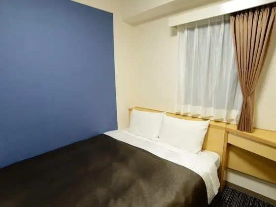 Tek Büyük Yataklı Oda, Sigara İçilebilir (Renovated)