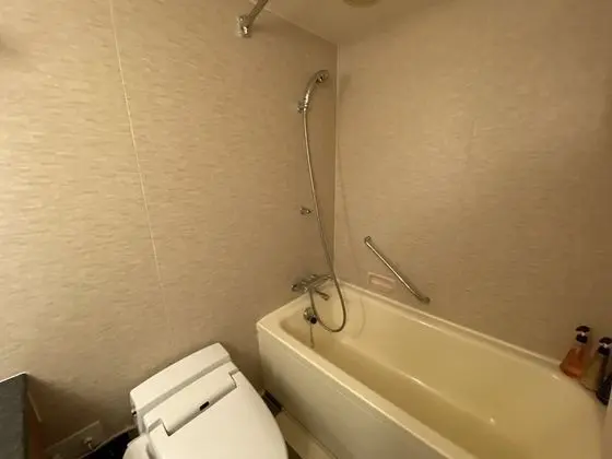 Superior İki Ayrı Yataklı Oda, Sigara İçilmez (A,  29.7sqm)