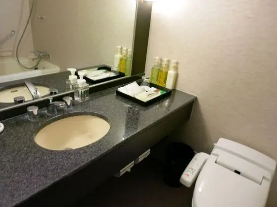 Tek Büyük Yataklı Oda, Sigara İçilmez (Executive Floor, 21.9 Sqm)