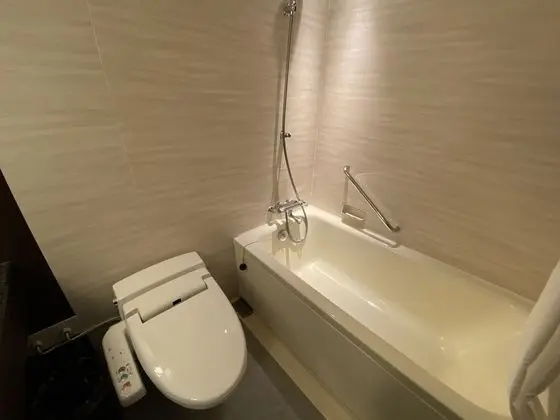 Tek Büyük Yataklı Oda, Sigara İçilmez (Executive Floor, 21.9 Sqm)