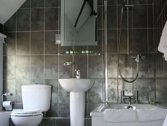 Standard Tek Büyük Yataklı Oda, 1 En Büyük (King) Boy Yatak, Banyolu/Duşlu