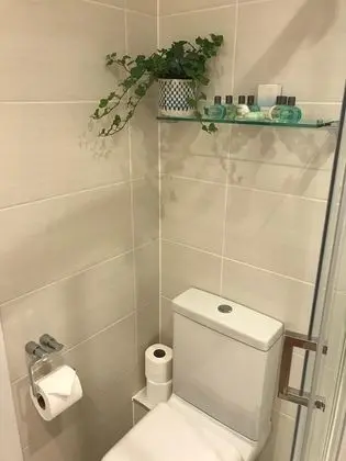 Superior Tek Büyük Yataklı Oda, 1 En Büyük (King) Boy Yatak, Banyolu/Duşlu
