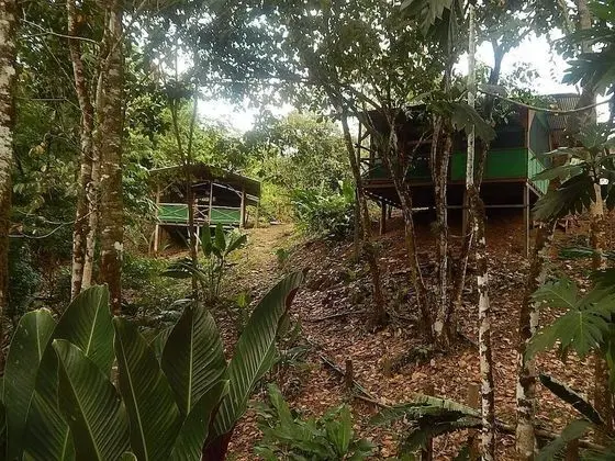 Classic Ortak Ranzalı Oda