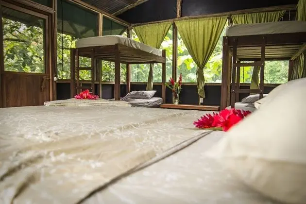 Tucan Private Family Cabana w/ Balcony (No hot water)