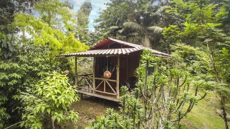 Tucan Private Family Cabana w/ Balcony (No hot water)