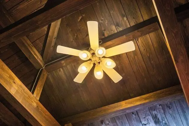 Kır Evi, Sigara İçilmez (Pet Friendly)