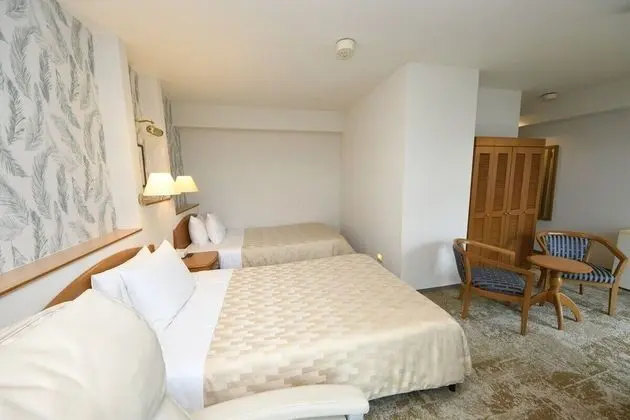 İki Ayrı Yataklı Oda, Birden Çok Yatak, Sigara İçilebilir, Okyanus Manzaralı