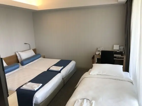 Deluxe İki Ayrı Yataklı Oda, Sigara İçilmez