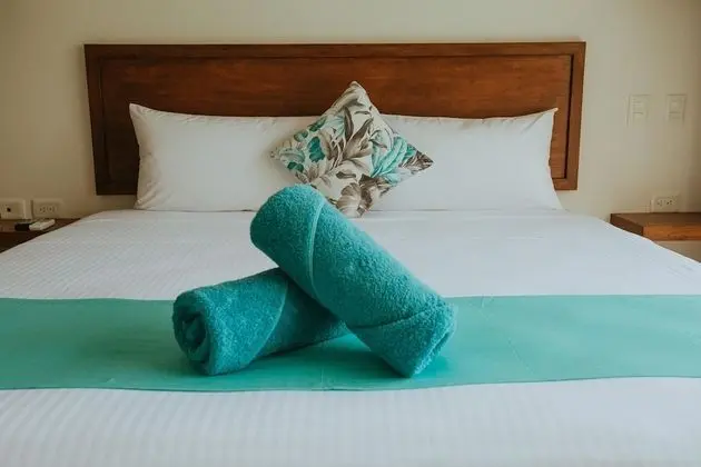 Deluxe Tek Büyük Yataklı Oda, 1 En Büyük (King) Boy Yatak, Özel Banyo